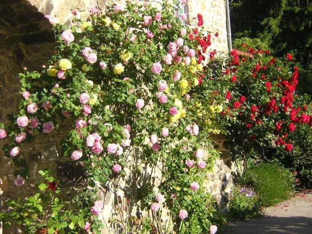 Mas Casta Nea Bed & Breakfast Thueyts Bagian luar foto