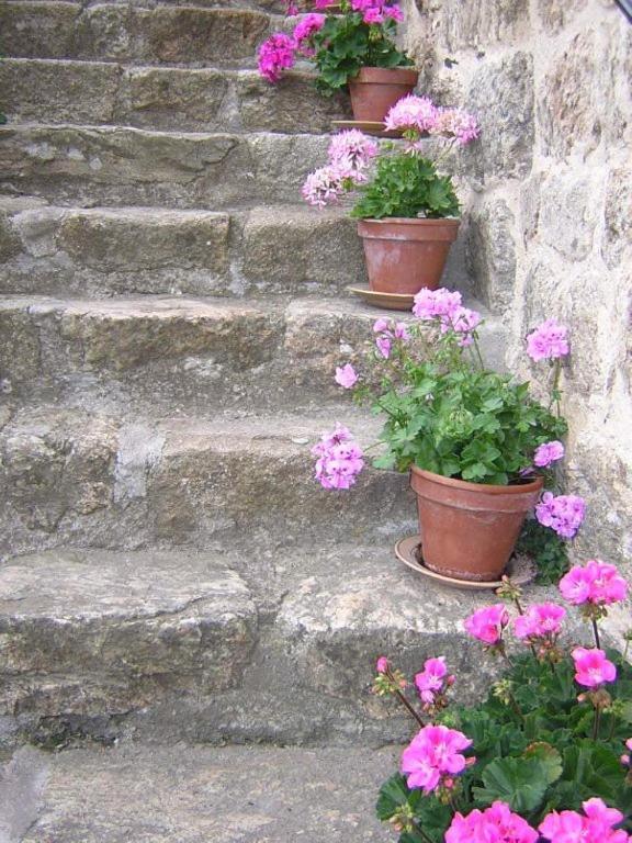 Mas Casta Nea Bed & Breakfast Thueyts Bagian luar foto