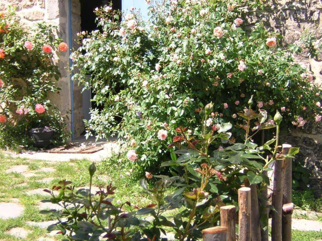 Mas Casta Nea Bed & Breakfast Thueyts Bagian luar foto
