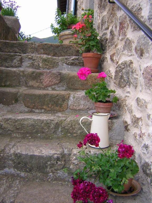 Mas Casta Nea Bed & Breakfast Thueyts Bagian luar foto