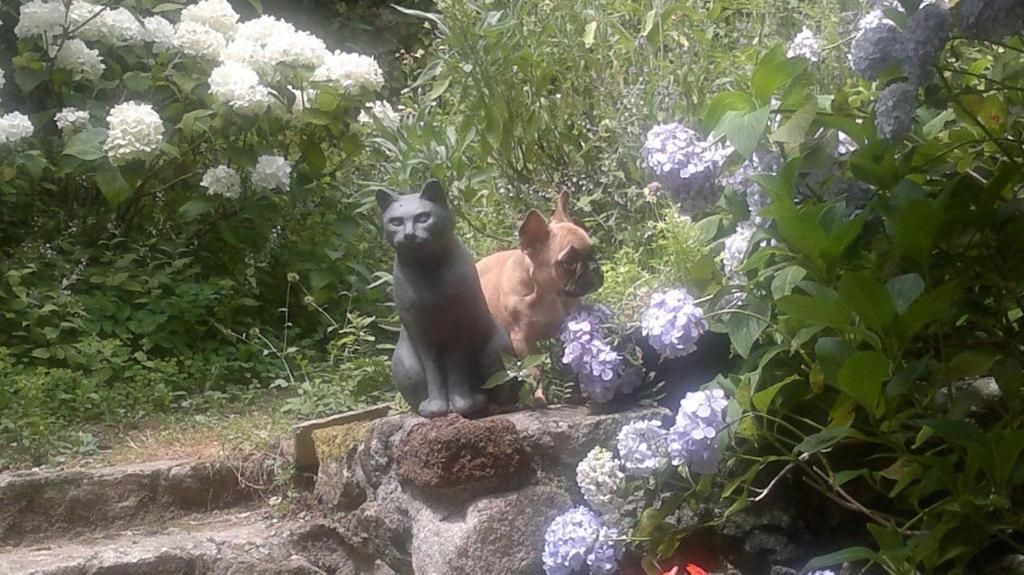 Mas Casta Nea Bed & Breakfast Thueyts Bagian luar foto