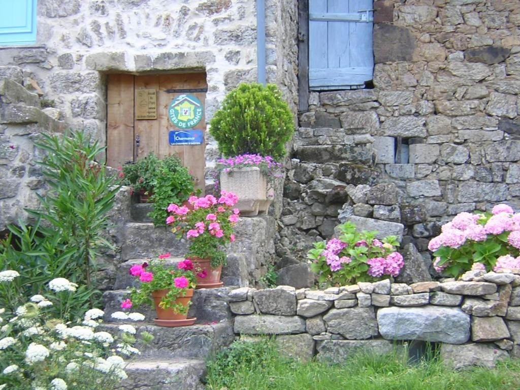 Mas Casta Nea Bed & Breakfast Thueyts Bagian luar foto
