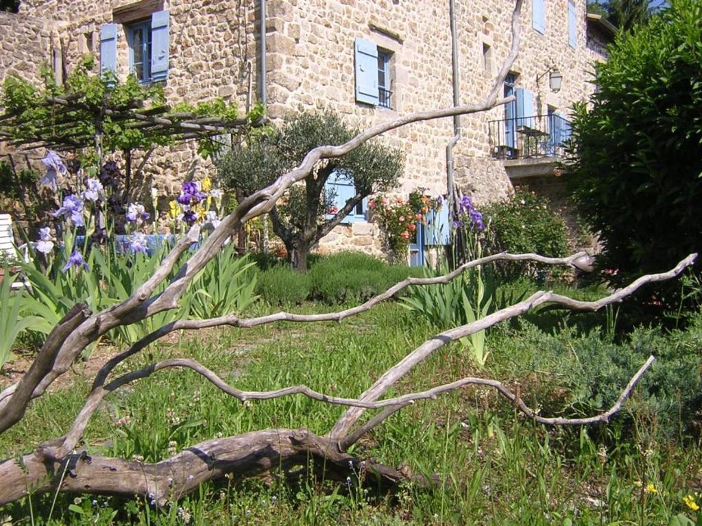 Mas Casta Nea Bed & Breakfast Thueyts Bagian luar foto
